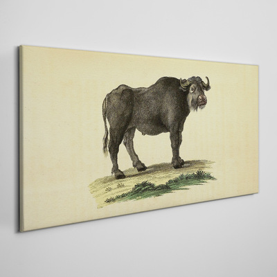 Foto auf leinwand Büffel auf natürlichem Hintergrund