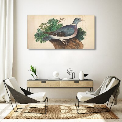 Leinwandbild Eine Taube vor grünem Hintergrund