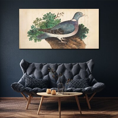 Leinwandbild Eine Taube vor grünem Hintergrund