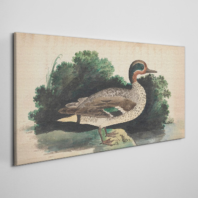 Foto leinwand Eine Ente im Grünen