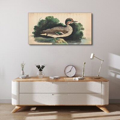 Foto leinwand Eine Ente im Grünen