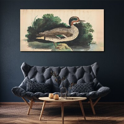 Foto leinwand Eine Ente im Grünen