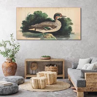 Foto leinwand Eine Ente im Grünen