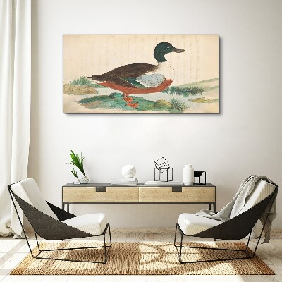 Foto auf leinwand Ente vor dem grünen Hintergrund