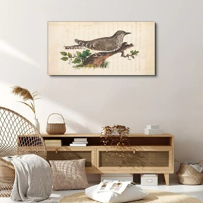 Bild auf leinwand Kuckuck auf einem Ast