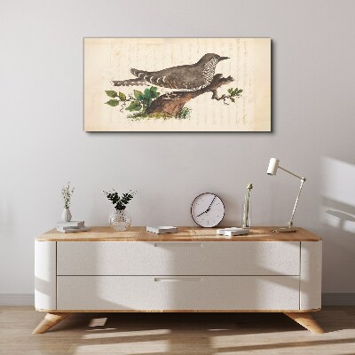 Bild auf leinwand Kuckuck auf einem Ast