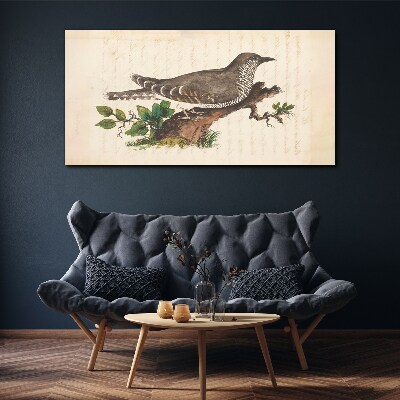 Bild auf leinwand Kuckuck auf einem Ast