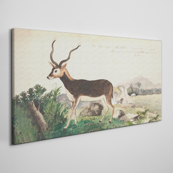 Foto auf leinwand Antilope im Hintergrund der Landschaft