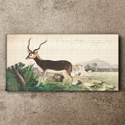 Foto auf leinwand Antilope im Hintergrund der Landschaft