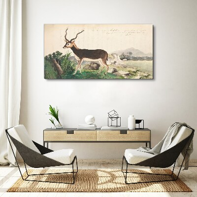 Foto auf leinwand Antilope im Hintergrund der Landschaft