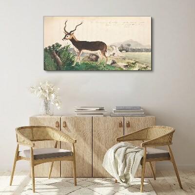 Foto auf leinwand Antilope im Hintergrund der Landschaft