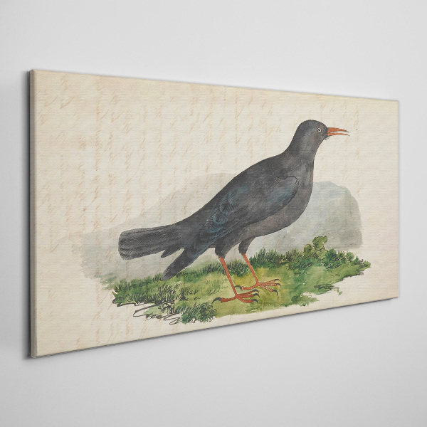 Foto auf leinwand Vogel auf grünem Hintergrund