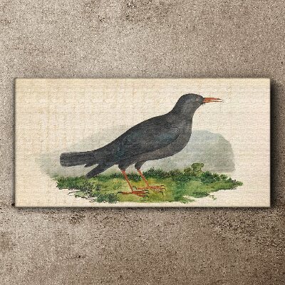 Foto auf leinwand Vogel auf grünem Hintergrund