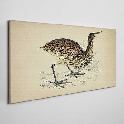 Foto auf leinwand Vogelmuster auf Naturhintergrund