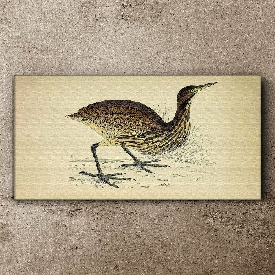 Foto auf leinwand Vogelmuster auf Naturhintergrund