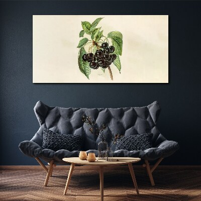 Foto auf leinwand Schwarze Früchte am Zweig