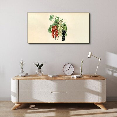 Bild auf leinwand Fruchtbouquet mit Johannisbeeren