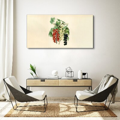 Bild auf leinwand Fruchtbouquet mit Johannisbeeren