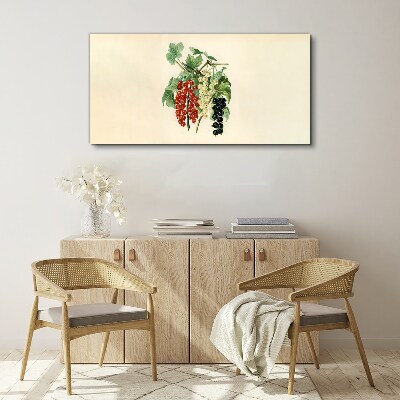 Bild auf leinwand Fruchtbouquet mit Johannisbeeren