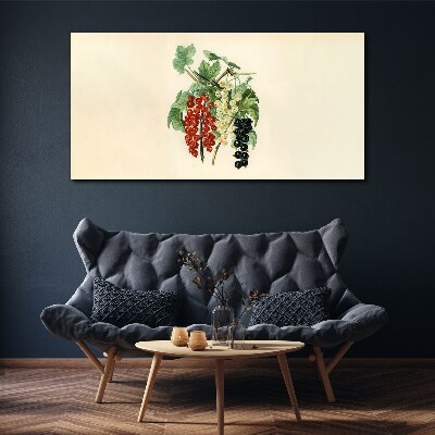 Bild auf leinwand Fruchtbouquet mit Johannisbeeren
