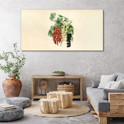 Bild auf leinwand Fruchtbouquet mit Johannisbeeren