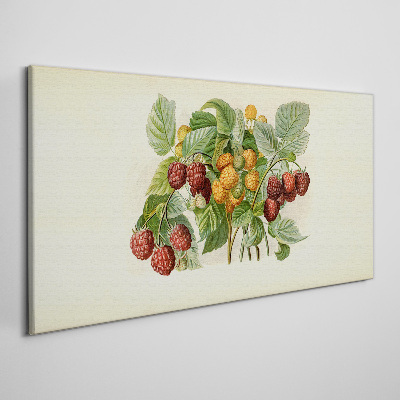 Fotobilder Fruchtiges Bouquet nach Himbeeren und Brombeeren