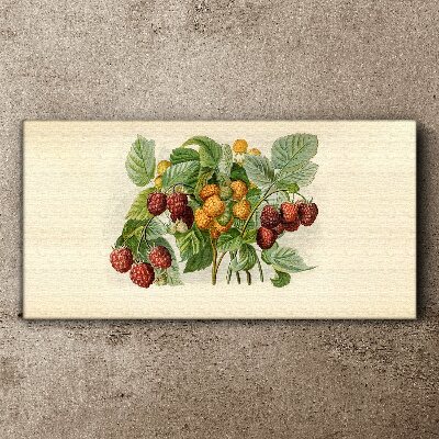 Fotobilder Fruchtiges Bouquet nach Himbeeren und Brombeeren