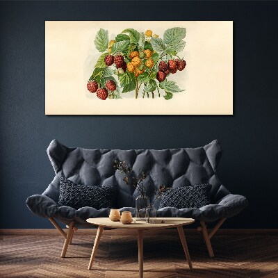 Fotobilder Fruchtiges Bouquet nach Himbeeren und Brombeeren