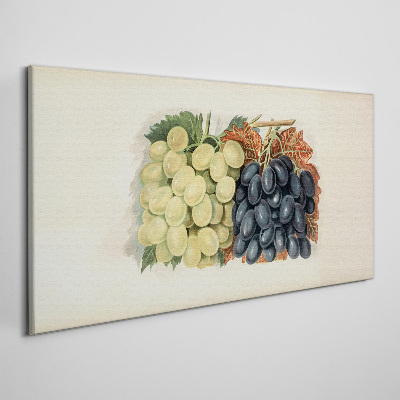Bild auf leinwand Trauben in Harmonie der Farben