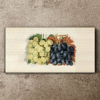 Bild auf leinwand Trauben in Harmonie der Farben