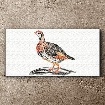 Bild auf leinwand Vogel-Eleganz in Pastellfarben