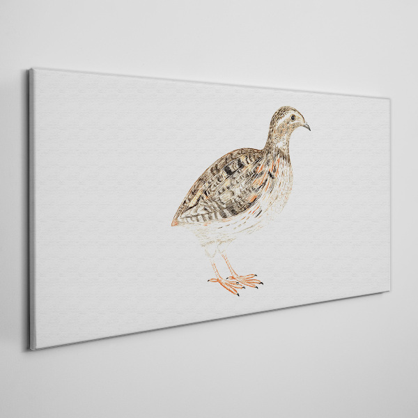 Foto auf leinwand Vogel auf weißem Hintergrund