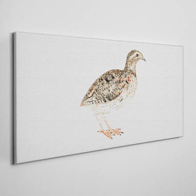Foto auf leinwand Vogel auf weißem Hintergrund