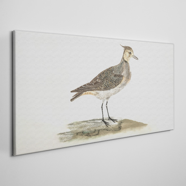 Foto auf leinwand Ein eleganter Vogel vor der Kulisse der Natur