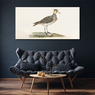 Foto auf leinwand Ein eleganter Vogel vor der Kulisse der Natur