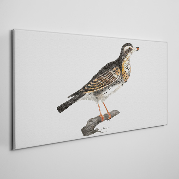 Foto auf leinwand Vogel auf einem Ast