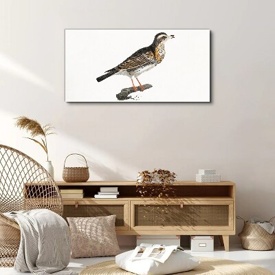 Foto auf leinwand Vogel auf einem Ast