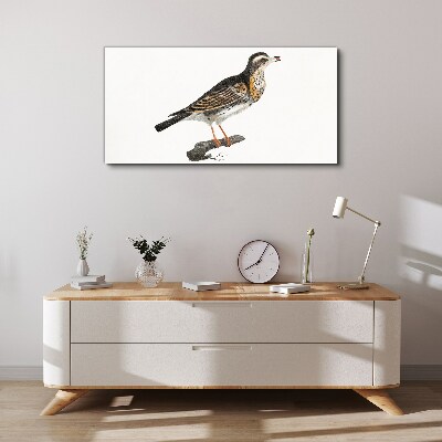 Foto auf leinwand Vogel auf einem Ast
