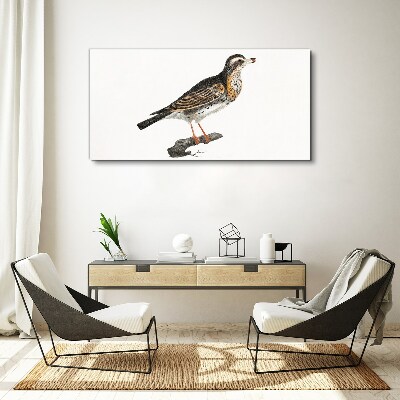 Foto auf leinwand Vogel auf einem Ast