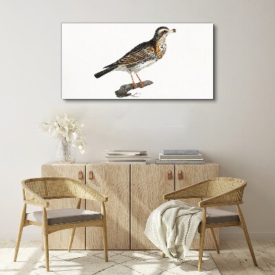 Foto auf leinwand Vogel auf einem Ast