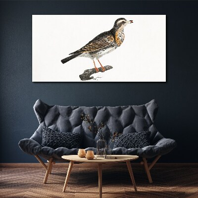 Foto auf leinwand Vogel auf einem Ast