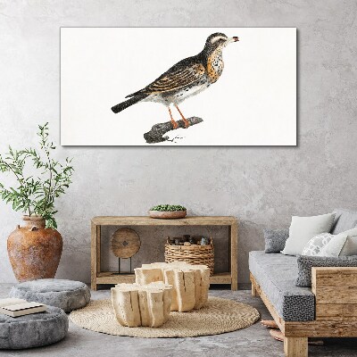 Foto auf leinwand Vogel auf einem Ast