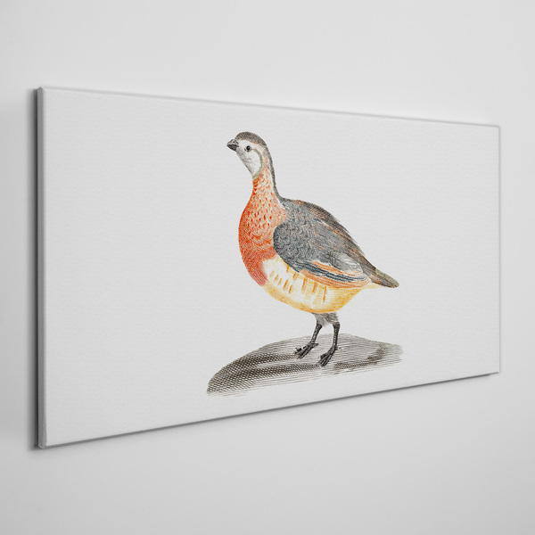Foto leinwand Glücklicher Vogel auf weißem Hintergrund