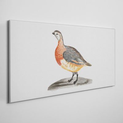 Foto leinwand Glücklicher Vogel auf weißem Hintergrund