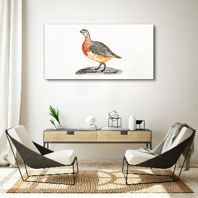 Foto leinwand Glücklicher Vogel auf weißem Hintergrund