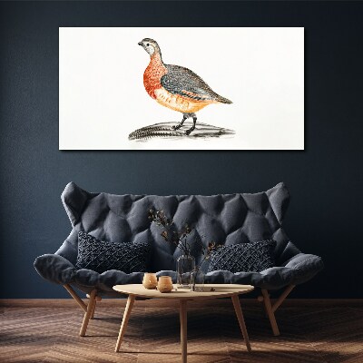 Foto leinwand Glücklicher Vogel auf weißem Hintergrund
