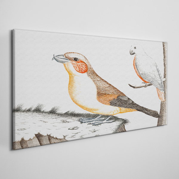 Foto auf leinwand Vogelduett auf einem Ast