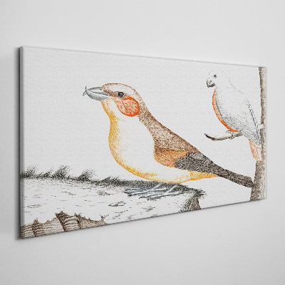 Foto auf leinwand Vogelduett auf einem Ast