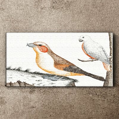 Foto auf leinwand Vogelduett auf einem Ast