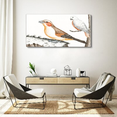 Foto auf leinwand Vogelduett auf einem Ast